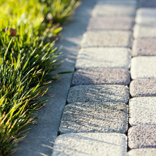 natural-grass-close-up-1268