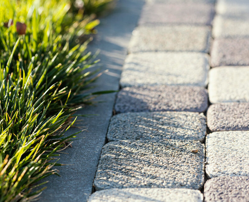 natural-grass-close-up-1268