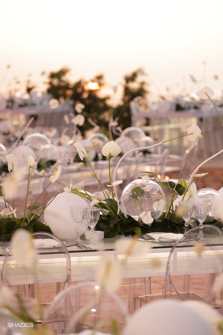 005E69D4-0005-4B3B-AED0-A6F9BC09A489_1_105_c