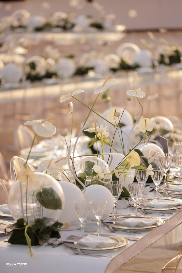 03D0C5AB-C063-4433-99EF-3BA3A4FF60E2_1_105_c