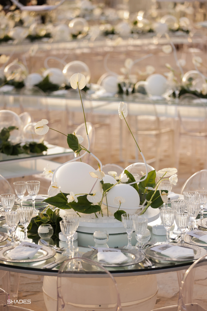 4C80062D-A4DA-4675-9AEC-065461BFBE31_1_105_c