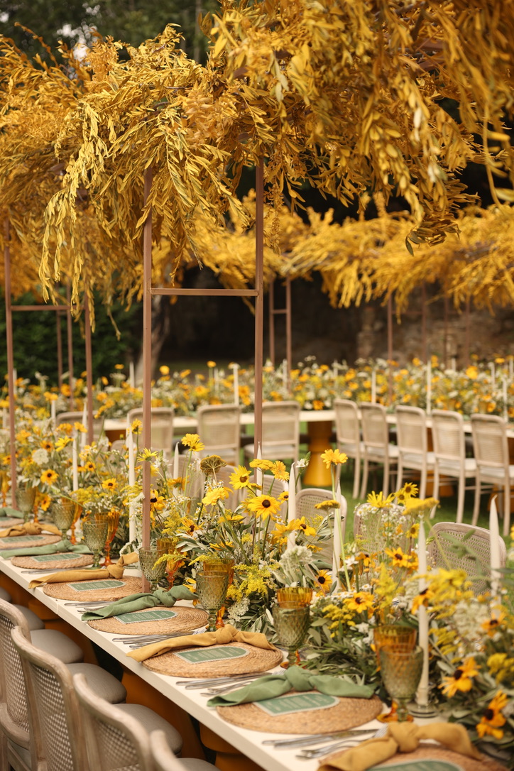 60F39D58-9462-4915-99D5-B57C395F8501_1_105_c