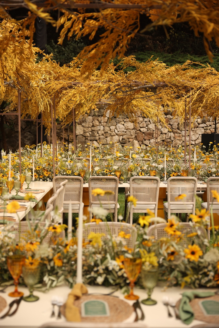 8B96AC30-CFFB-46BD-8339-6648146DCC0A_1_105_c