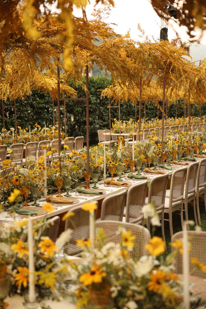 96AEBB96-B0C1-4B11-AB88-1AEC993D5224_1_105_c