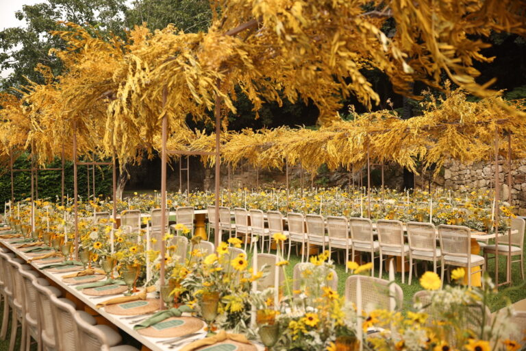 A45876AE-696F-4F60-8D8D-75C476F2AB2F_1_105_c